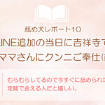 舐め犬レポート10：LINE追加の当日に吉祥寺でシンママさんにクンニご奉仕（前半）